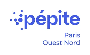 pepite pon logo pepite pon logo