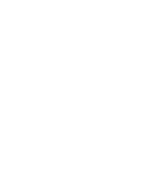 Diplôme conférant le grade de master