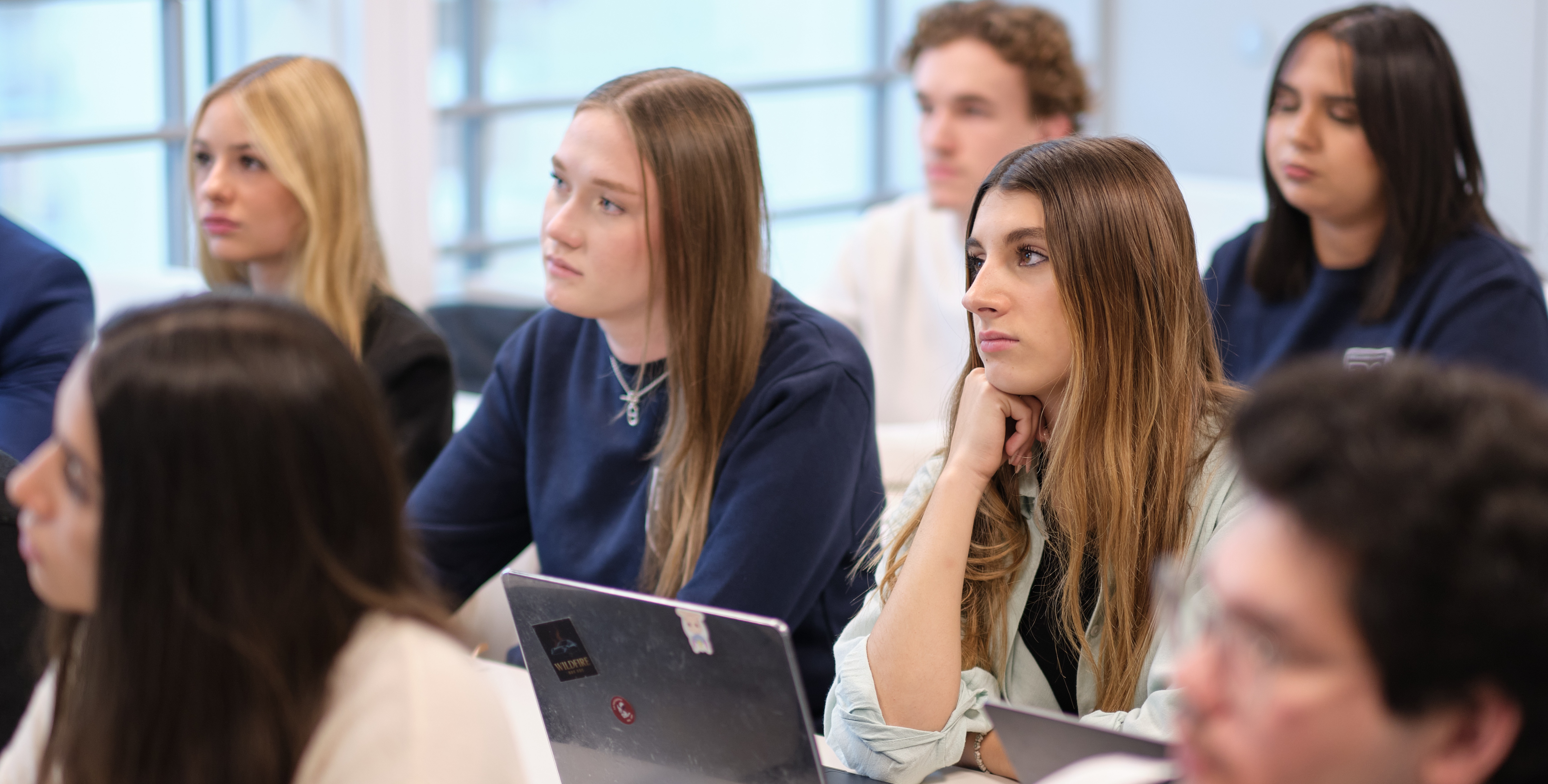 msc finance d entreprise msc finance d entreprise