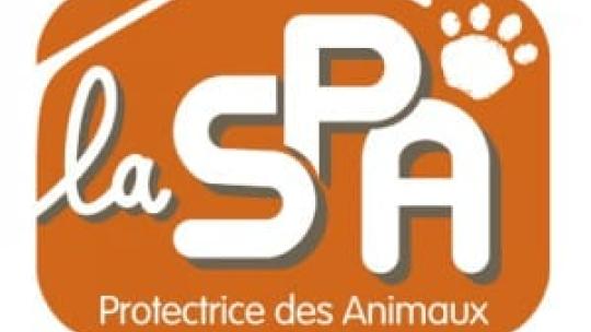 Cas SPA Societe Protectrice des Animaux SPA a la conquete des jeunes donateurs letude quantitative 