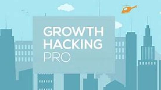 Growth Hacking Professionnel