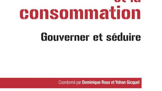 Objectivation et subjectivation des consommateurs dans les dispositifs marchand scaled