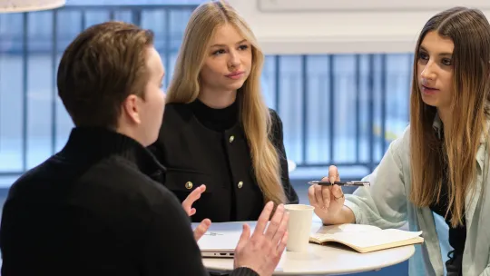 bachelor international business development bachelor international business development