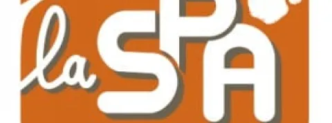 Cas SPA Societe Protectrice des Animaux SPA a la conquete des jeunes donateurs letude quantitative