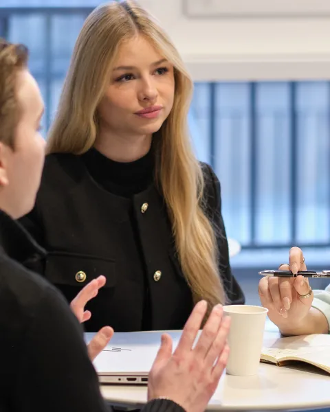 bachelor international business development